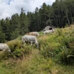 Turismo o comunità? Il miraggio delle aree montane