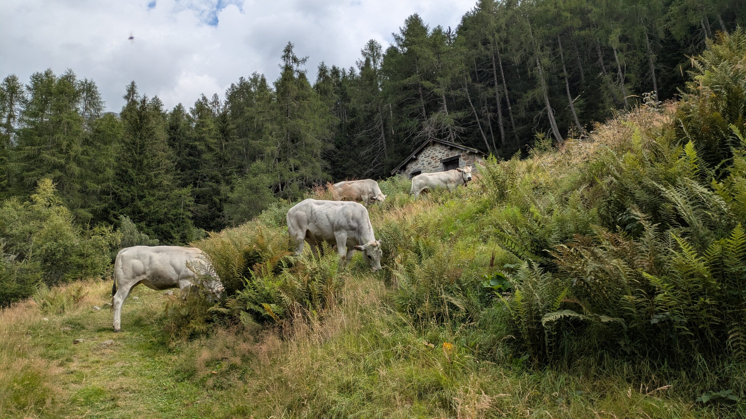 Turismo o comunità? Il miraggio delle aree montane