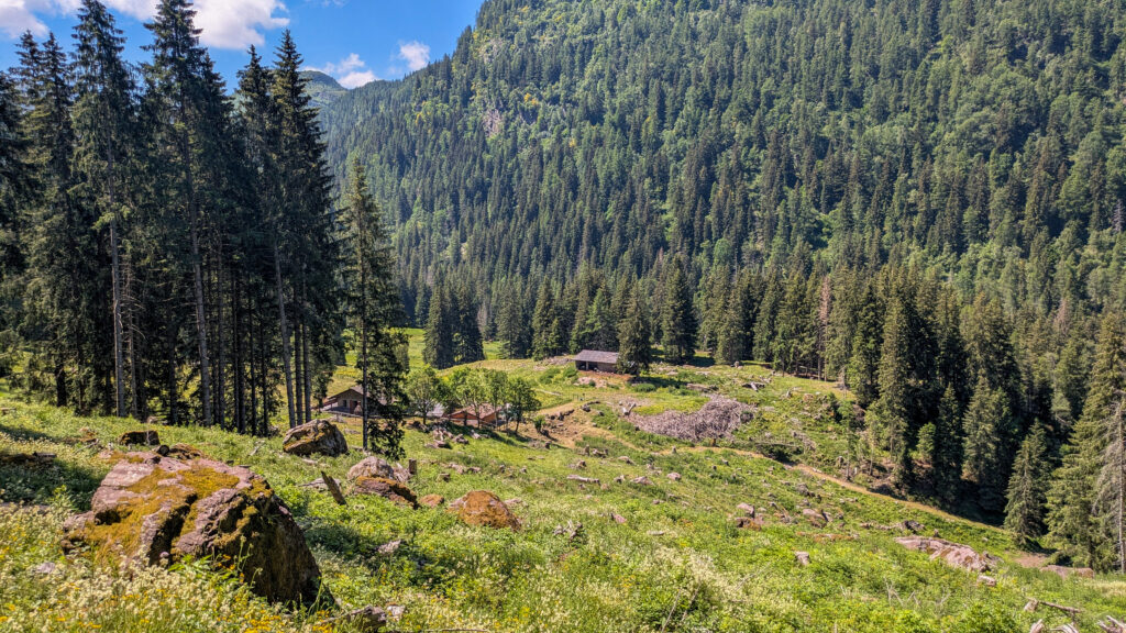 Malga, la montagna abitata come infrastruttura del presente