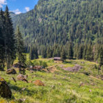 Malga, la montagna abitata come infrastruttura del presente
